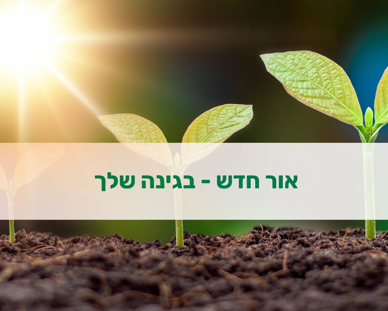 תמונה ללא תיאור